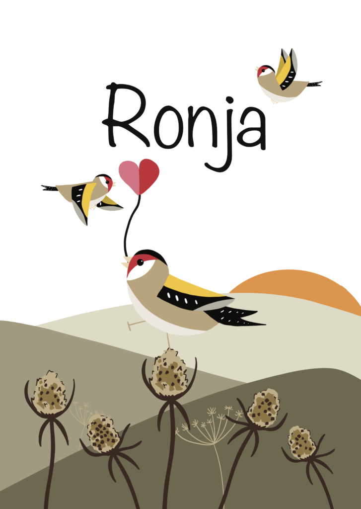 Voorkant Ronja 1 727x1024